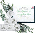 Eucalyptus Shower Steamer Tablets Made in USA with Essential Oils - Eucalyptus Shower Bomb Pack of Six - Extra Large Sinus Steamers - Soothing Menthol & Camphor Shower Tablets for Congestion
